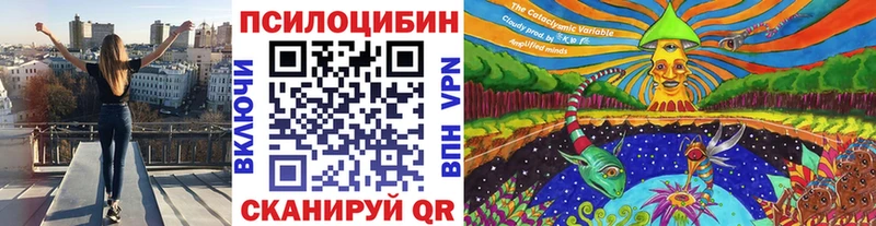 даркнет сайт Острогожск Псилоцибиновые грибы Magic Shrooms